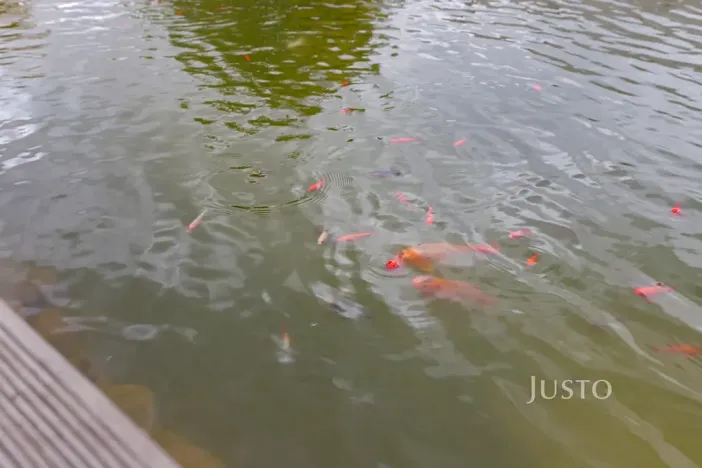 Prodej rodinného domu, Teplice, Na Bramši, 227 m2