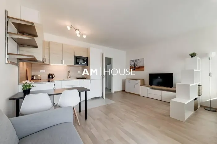 Pronájem bytu 1+kk, Praha - Žižkov, Malešická, 38 m2