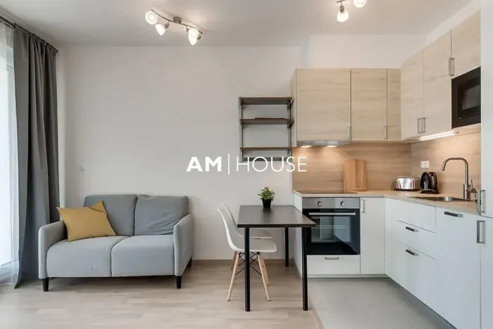 Pronájem bytu 1+kk, Praha - Žižkov, Malešická, 38 m2