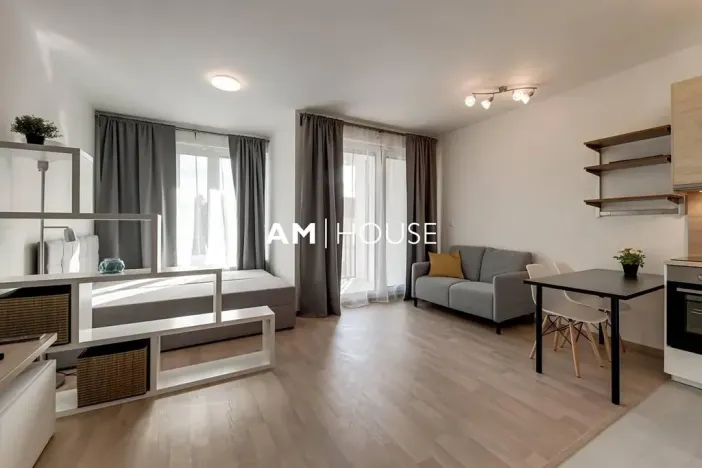 Pronájem bytu 1+kk, Praha - Žižkov, Malešická, 38 m2