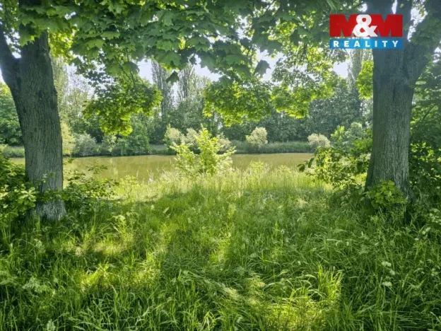 Prodej louky, Hradec Králové - Pražské Předměstí, 7544 m2