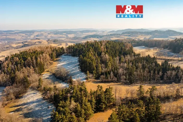 Prodej lesa, Nišovice, 7155 m2