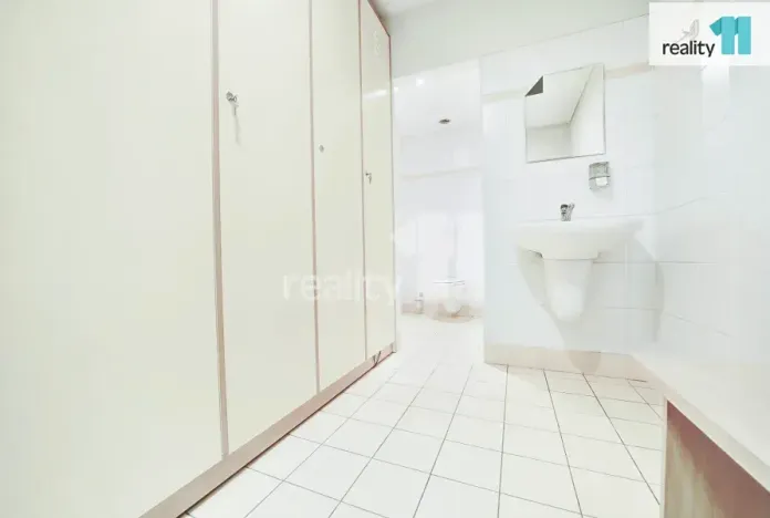 Prodej komerční nemovitosti, Napajedla, 2. května, 4196 m2