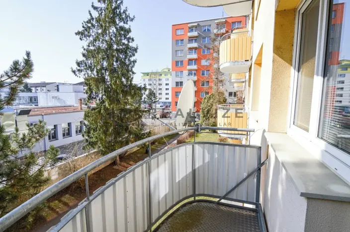 Prodej bytu 1+1, České Budějovice, Větrná, 38 m2