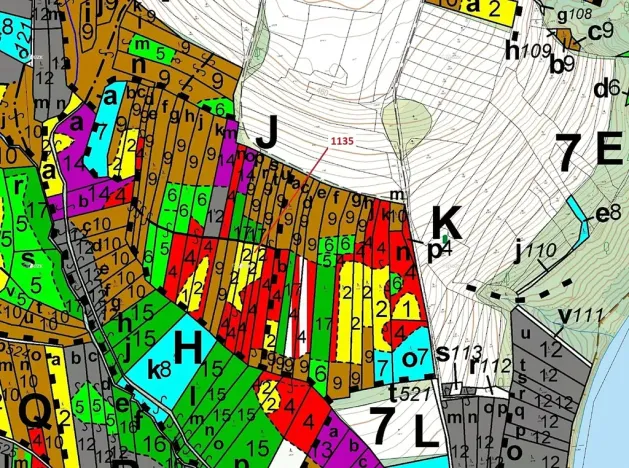 Dražba lesa, Hosty, 1789 m2