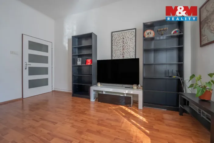 Prodej bytu 2+1, České Budějovice - České Budějovice 7, L. B. Schneidera, 45 m2