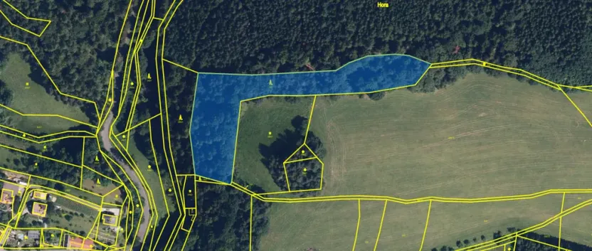 Prodej lesa, Zborov, 9290 m2