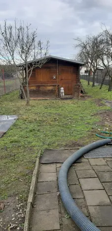 Prodej zahrady, Břeclav, Letiště, 1429 m2