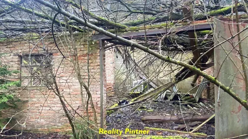 Prodej - jiné, Nový Knín, 3157 m2