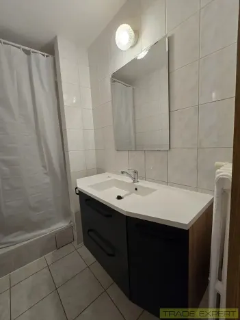 Pronájem bytu 1+1, Praha - Braník, Mezivrší, 55 m2