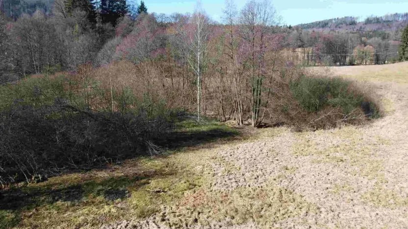 Prodej pozemku, Vernéřovice, 18464 m2