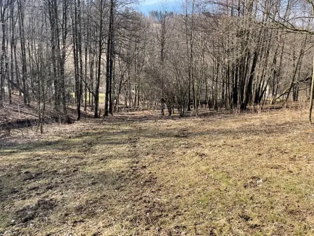 Prodej zemědělské usedlosti, Jeseník, 180 m2