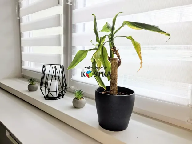 Pronájem bytu 3+1, Studénka, L. Janáčka, 66 m2