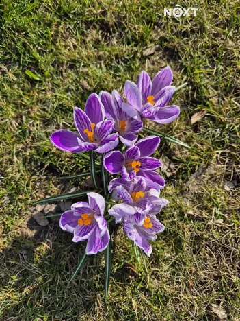 Pronájem bytu 1+kk, Praha - Žižkov, Žerotínova, 27 m2