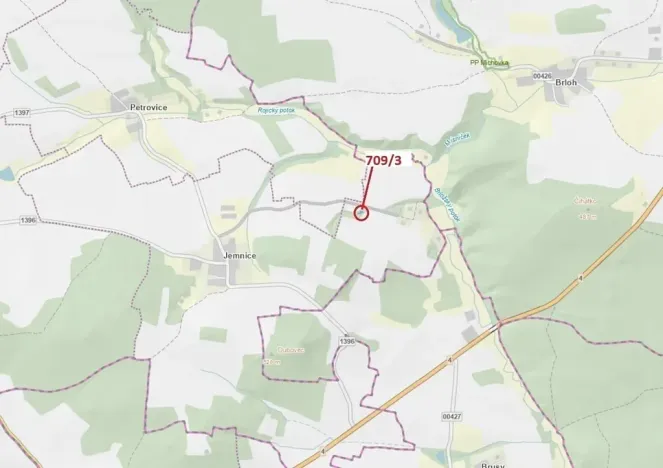 Dražba lesa, Osek, 301 m2