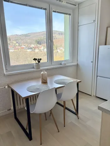 Pronájem bytu 1+1, Brumov-Bylnice, Am. Kutinové, 38 m2