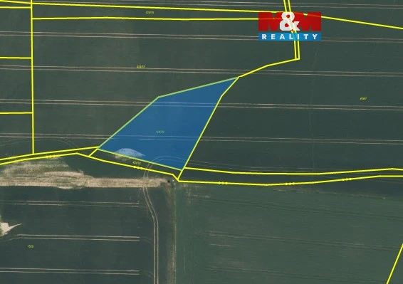 Prodej pole, Letkov, 2841 m2