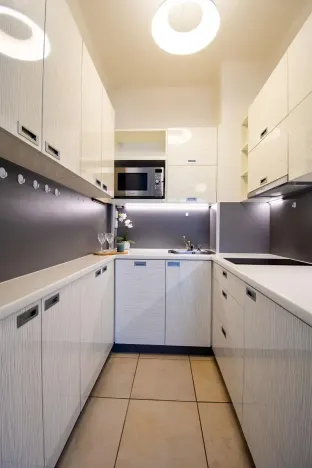 Pronájem bytu 2+kk, Praha - Vinohrady, Písecká, 56 m2