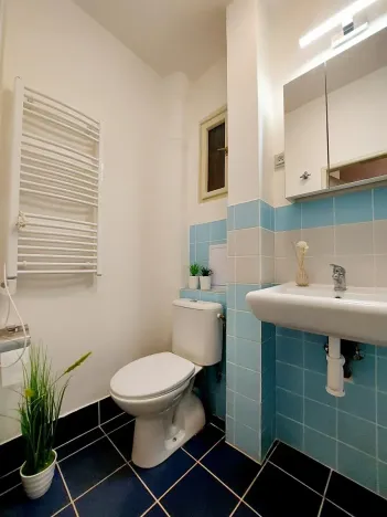 Pronájem bytu 2+kk, Praha - Vinohrady, Písecká, 56 m2