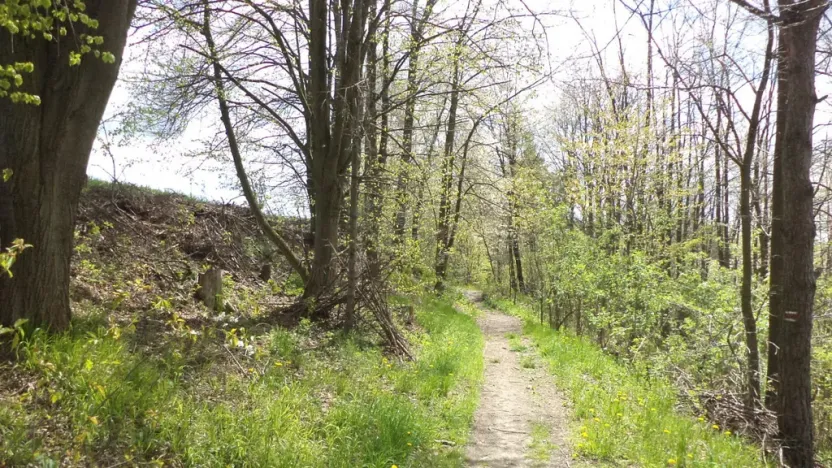 Prodej pozemku, Vítkov, 5357 m2