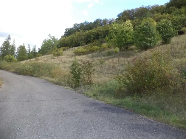 Prodej pozemku, Řehlovice - Stadice, 1268 m2