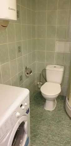 Pronájem bytu 1+kk, Novosedlice, Drahénská, 30 m2