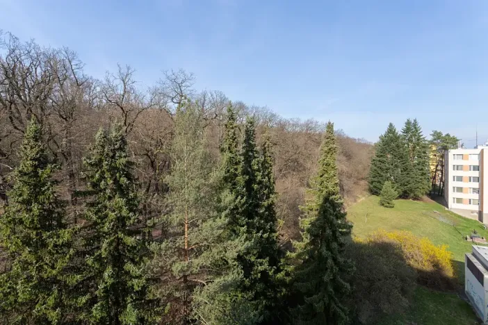 Prodej bytu 3+1, Praha - Kobylisy, Jelínkova, 63 m2