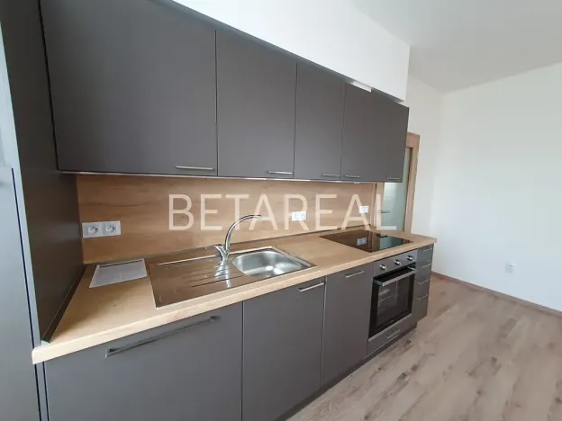 Pronájem bytu 1+kk, Brno, Plotní, 49 m2