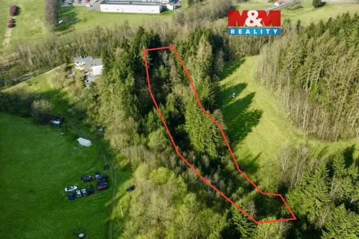 Prodej lesa, Dolní Dobrouč - Lanšperk, 4113 m2