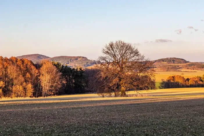 Prodej zemědělské usedlosti, Šebířov, 120 m2