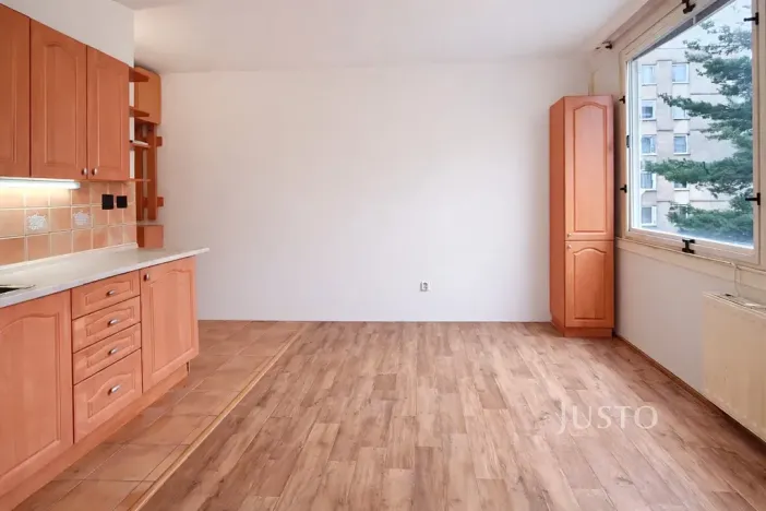 Prodej bytu 1+1, Písek, třída Přátelství, 38 m2