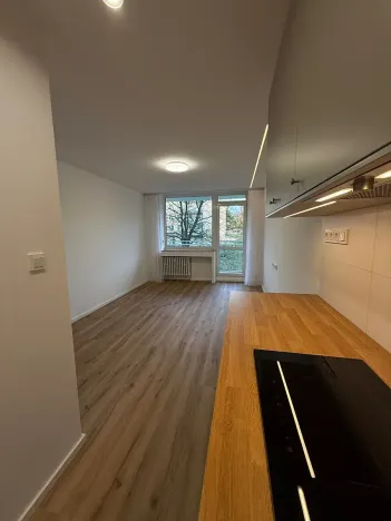 Pronájem bytu 2+kk, Teplice, Trnovanská, 41 m2