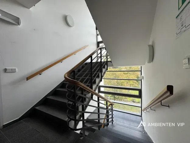 Pronájem bytu 1+kk, Brno, Božetěchova, 52 m2