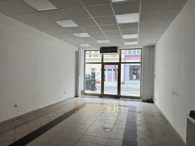 Pronájem obchodního prostoru, Teplice, Krupská, 120 m2