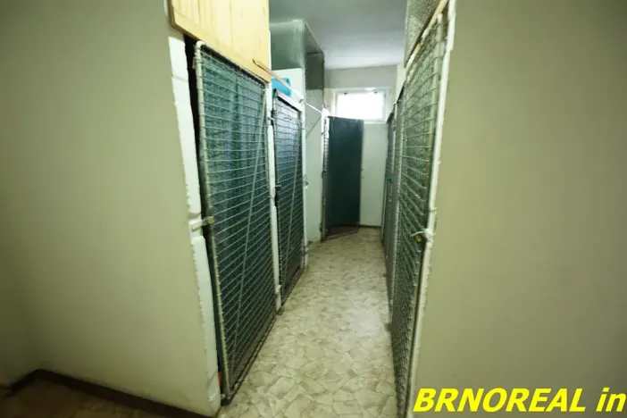 Pronájem bytu 2+1, Brno, Jílová, 55 m2