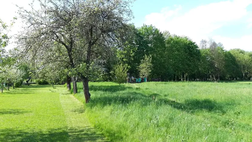 Prodej zahrady, Libina, 2827 m2