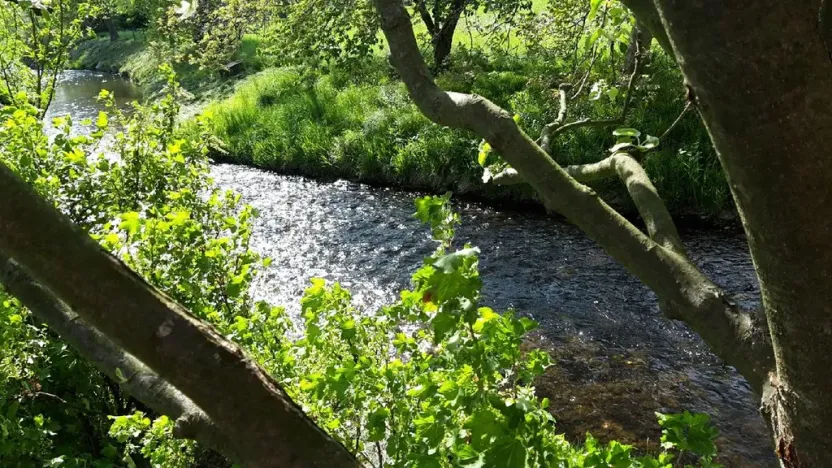 Prodej zahrady, Libina, 2827 m2