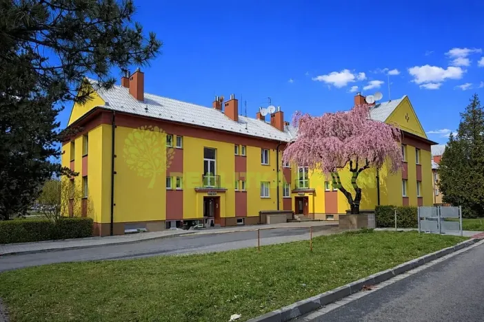 Prodej bytu 3+1, Bystřice pod Hostýnem, Bělidla, 79 m2