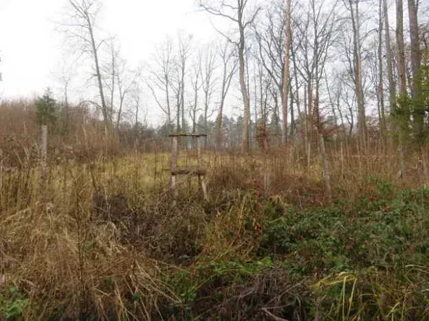 Dražba lesa, Zlín, 707167 m2