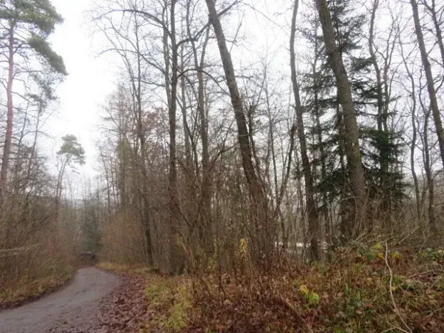 Dražba lesa, Zlín, 707167 m2