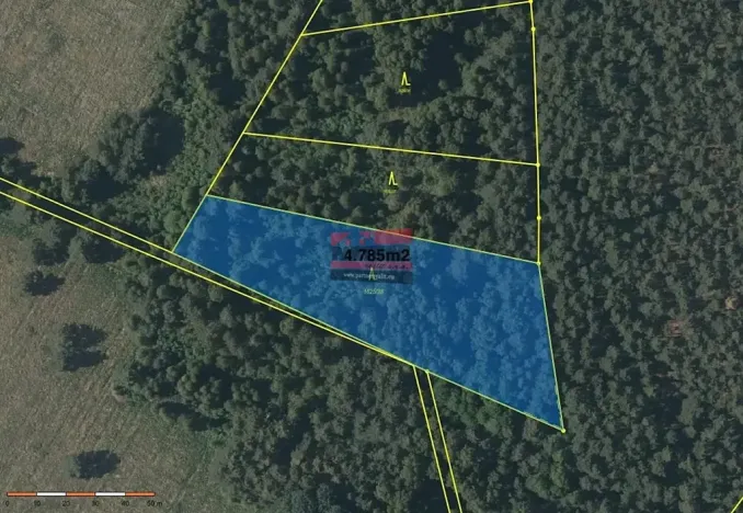 Prodej podílu pole, Borkovice, 15132 m2