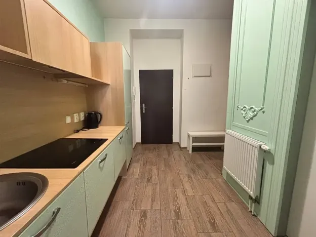 Pronájem bytu 1+1, Praha - Dejvice, Pod kaštany, 34 m2