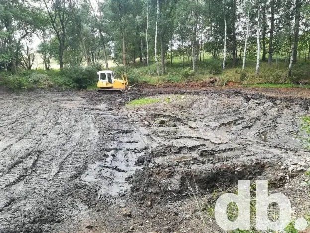 Prodej rybníku, Toužim, 5506 m2