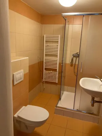 Pronájem bytu 1+kk, Litoměřice, Nerudova, 32 m2