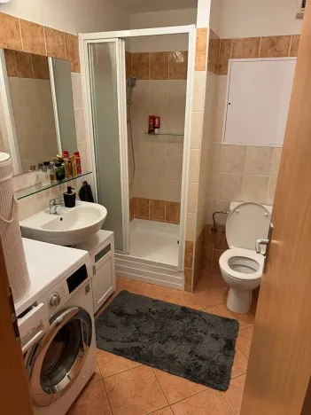 Pronájem bytu 1+kk, Brno, Kosmova, 40 m2