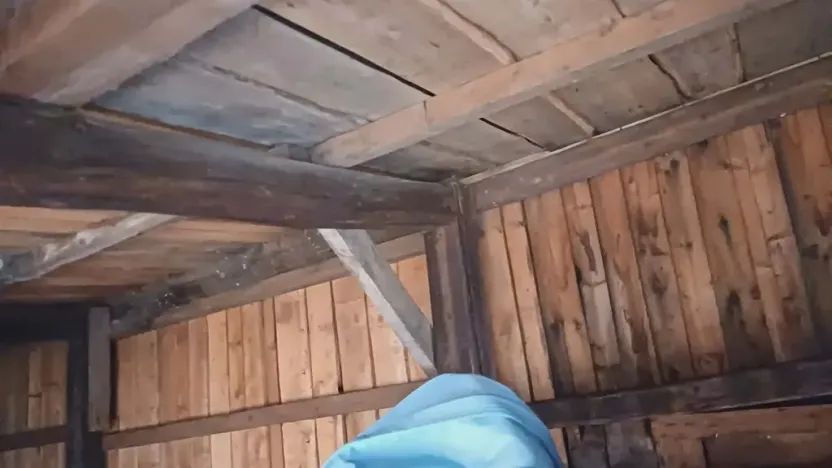 Prodej chalupy, Sněžné, 80 m2