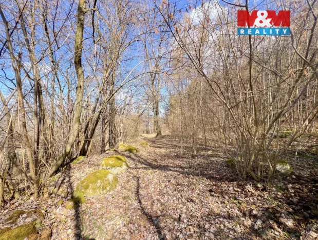 Prodej louky, Sušice - Sušice III, 8056 m2