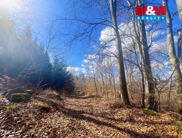 Prodej louky, Sušice - Sušice III, 8056 m2