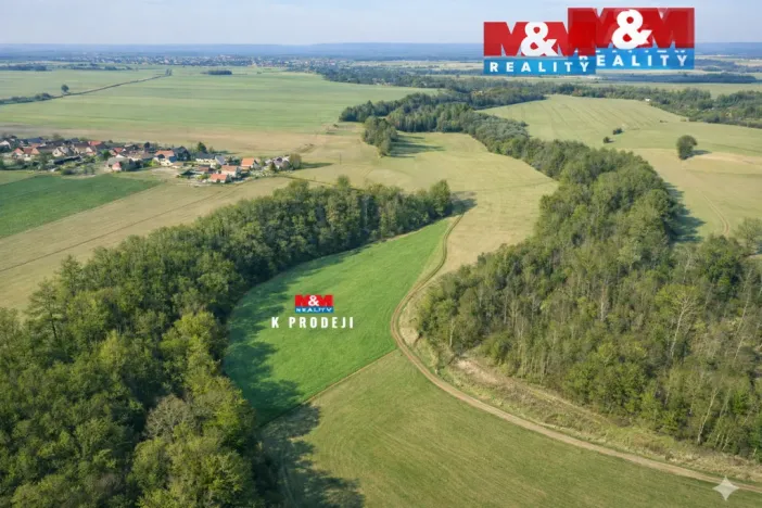 Prodej louky, Čistá, 13089 m2