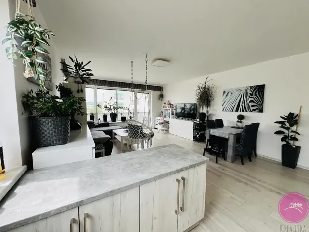 Pronájem bytu 2+kk, Olomouc, Loudova, 76 m2